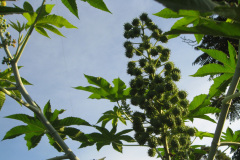 18a