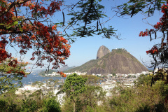 20150119_3302