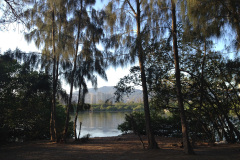20150130_3459