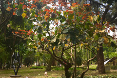 parqueLuz-1