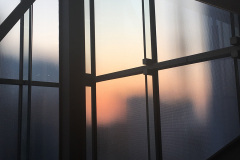 IMG_6366