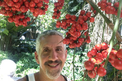 frutas