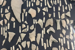 fragmentos
