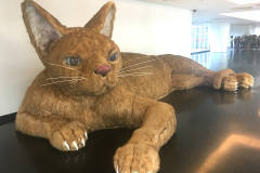 gatao