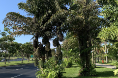 aterro3
