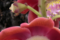 4a