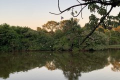 represa-ila das aves
