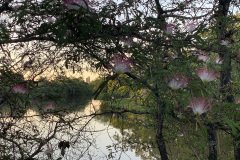represa