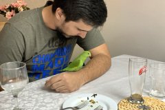 erick-kikito