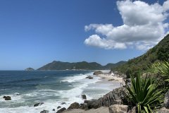 abrico visto de cima