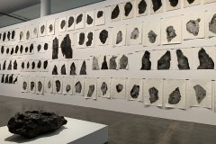 bienal 6