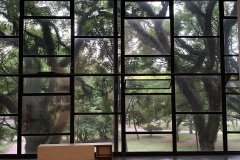 bienal5