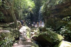 cachoeira ao fundo