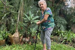 gilda no jardim do andre