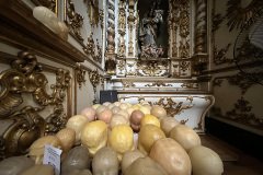 IMG_9241 2