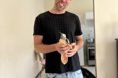 IMG_9719