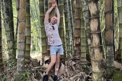 jardim botanico-jerome2