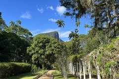 jardim botanico