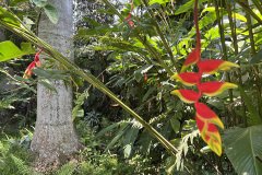 jardim do andre 4