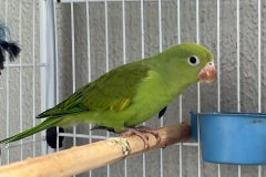 IMG_1248