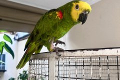 IMG_4760