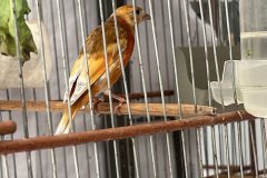 IMG_4852