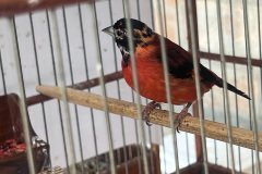 IMG_4853