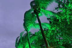 IMG_5451