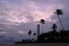 IMG_5585