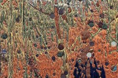 IMG_0860-2