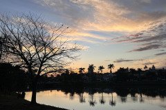 IMG_8751