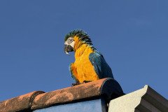IMG_1572