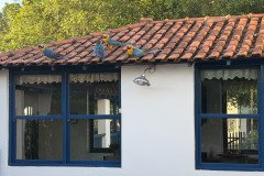 IMG_1573
