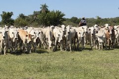 IMG_1628