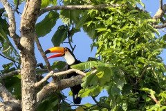 IMG_1660