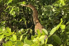 IMG_1674