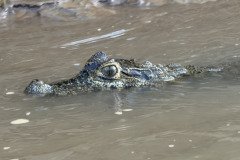 IMG_1688