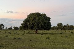 IMG_1708