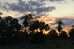 IMG_1709