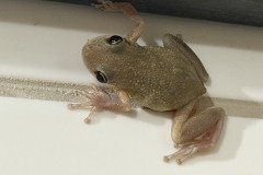 IMG_1716