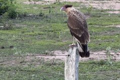 IMG_1719