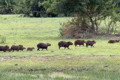 IMG_1735
