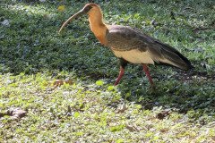 IMG_2227