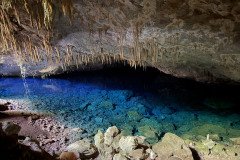 IMG_2314