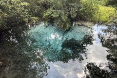 IMG_2371