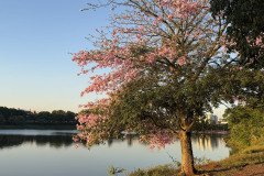 IMG_5463