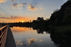 IMG_5481