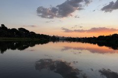 IMG_5490