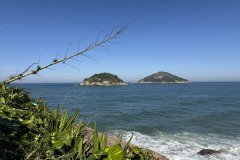 IMG_6908