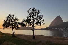 IMG_7017